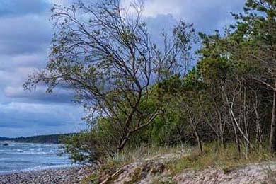 中国女足夺冠喜获世界瞩目 球迷狂欢庆祝胜利，中国女足是否夺冠
