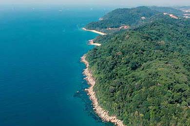 中国篮球运动员团队合作，中国篮球队运动员名单