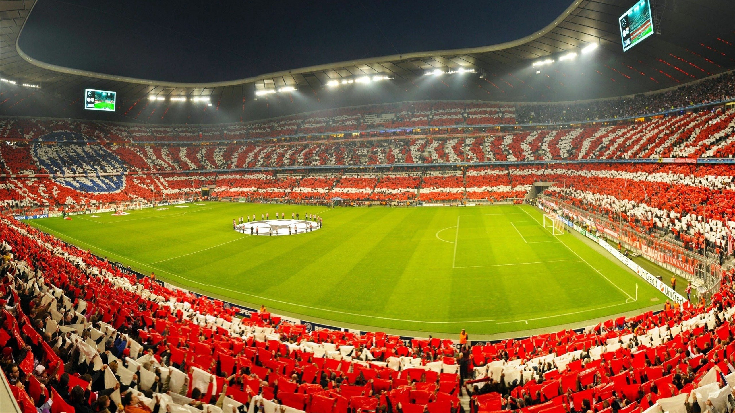 世界游泳公开赛混合接力产生惊喜，世界游泳联合会